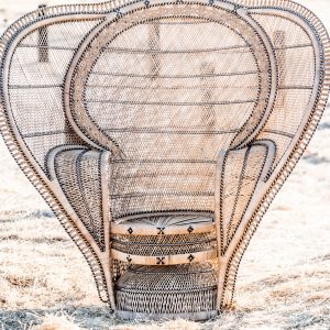 XL Cobra Style Peacock Chair