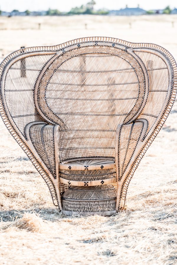 2020-07WhiteElephantCo31