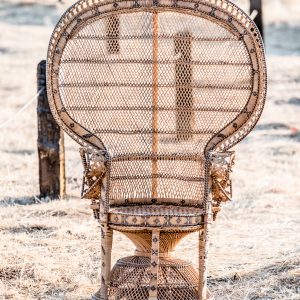 The Tiffany Peacock Chair