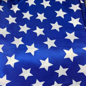 BLUE PATRIOT  TABLECLOTH