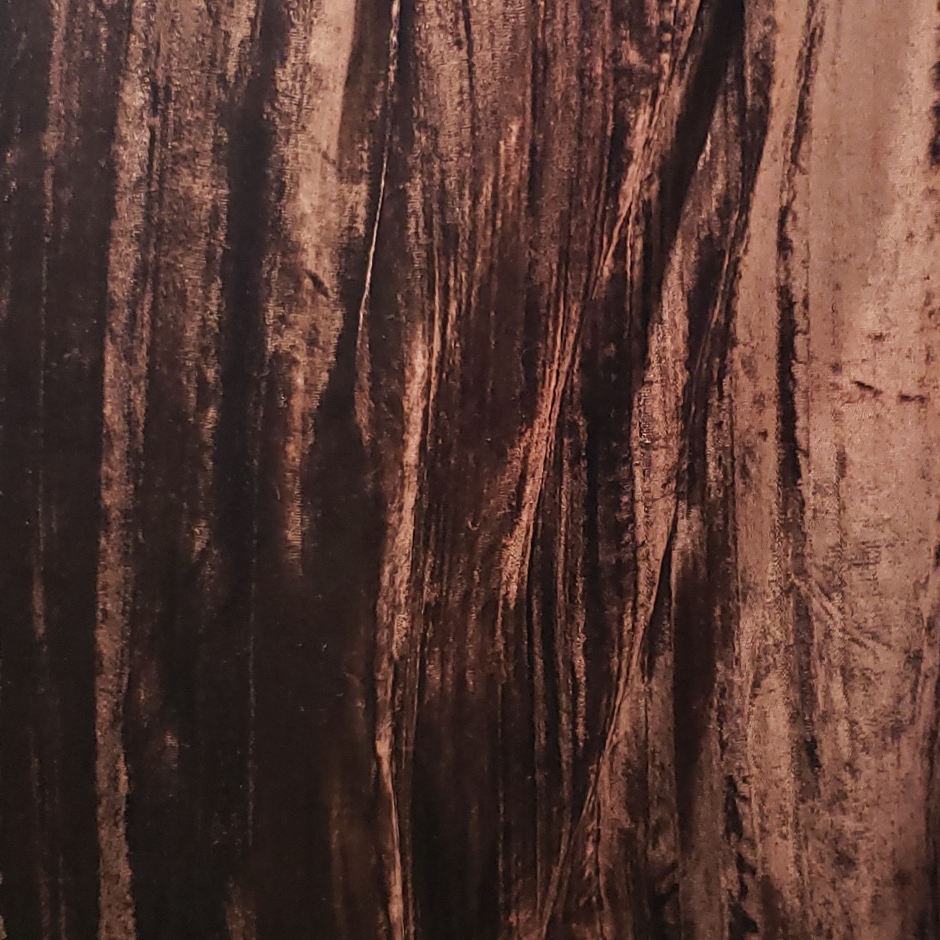 BROWN-VELVET-1.jpg
