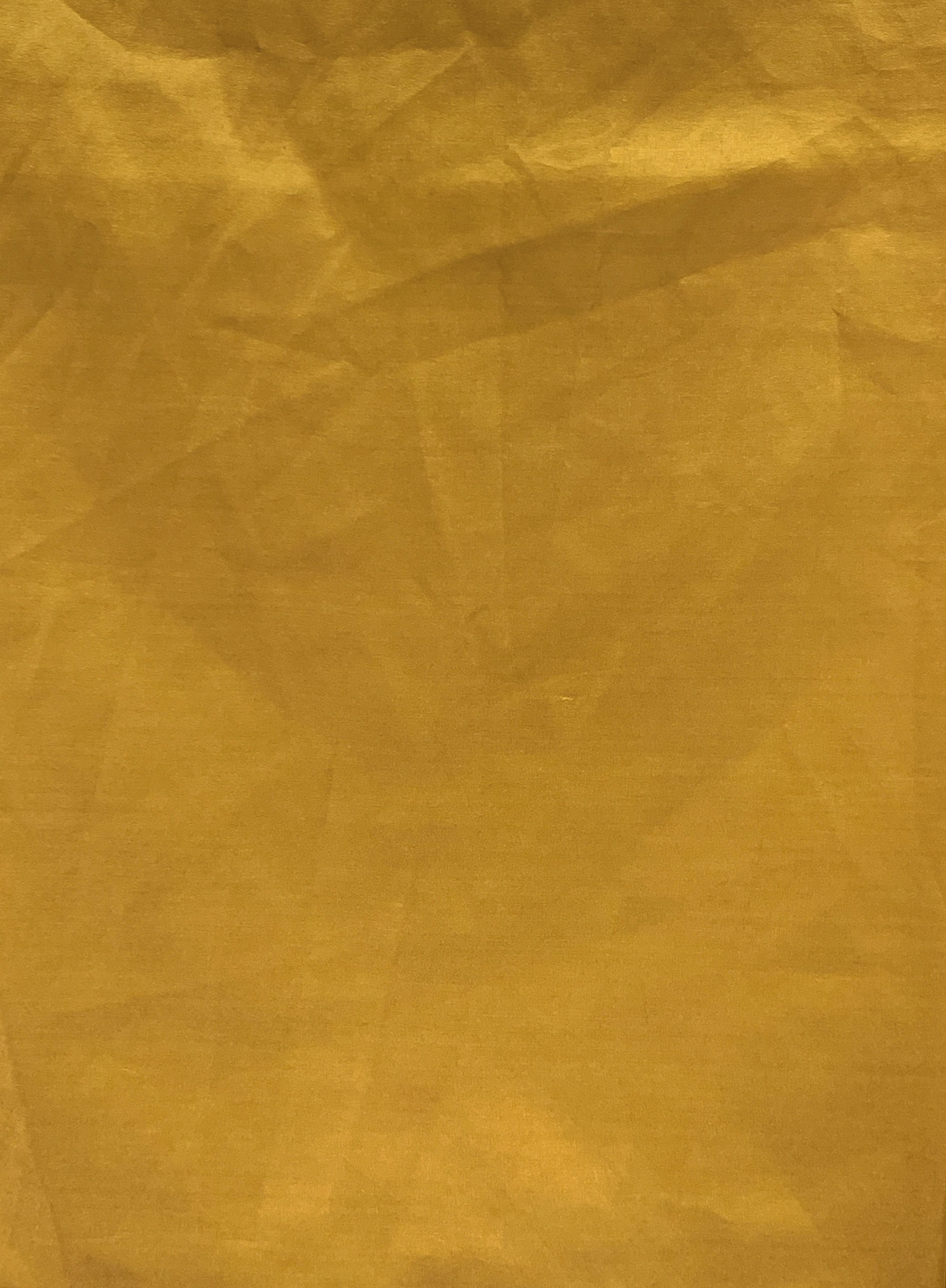 MUSTARD-TAFFETA-1.jpg