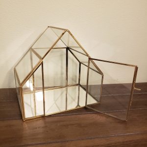 Glass Geometric Terrarium