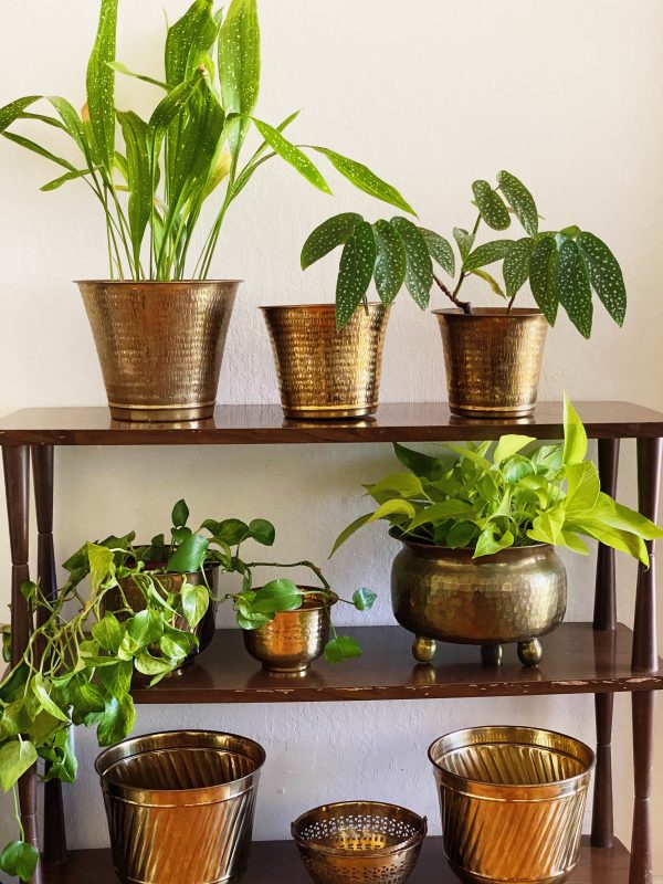 Processed with VSCO with s3 preset