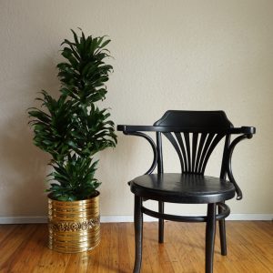 Art Deco Black Bentwood Vintage Chair