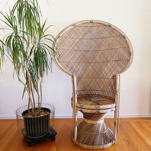 The Hansel Peacock Chair