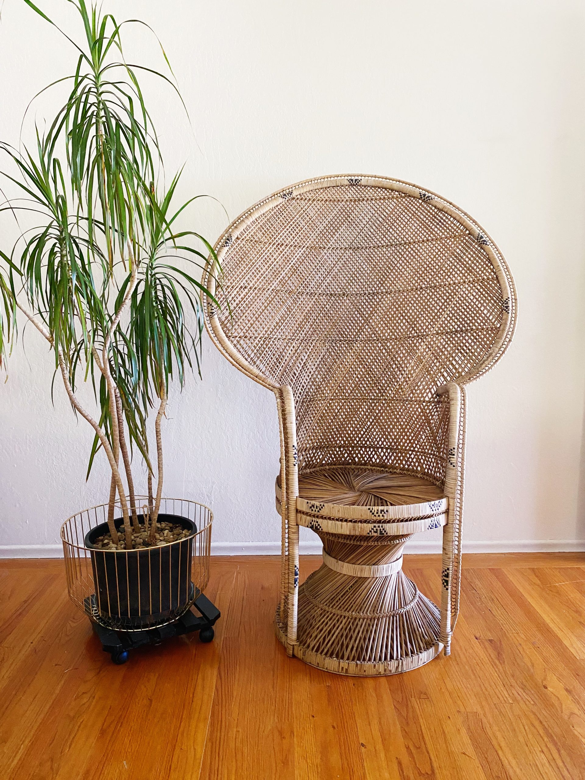 Processed with VSCO with s3 preset Processed with VSCO with s3 preset