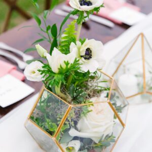 XL Terrarium Lanterns