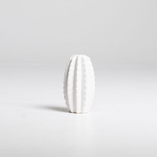 WhiteCactusVase