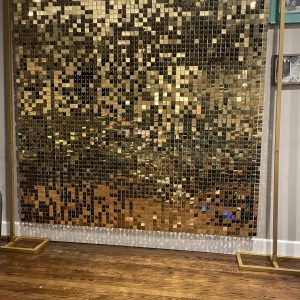 Gold Sequin Backdrop/Wall