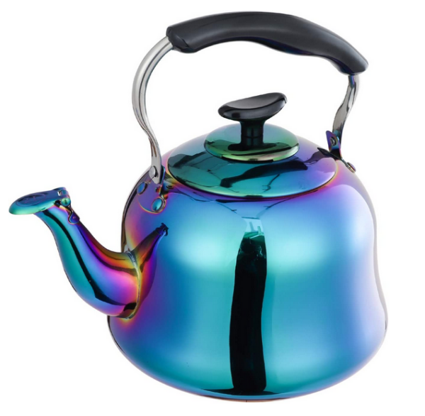 RainbowSS-Kettle-8cups2liters