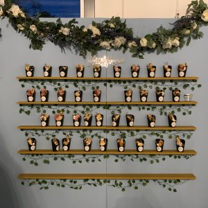 Foldable Champagne Wall