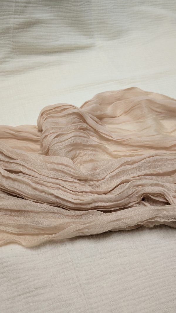 PXL_20250120_191838246~2