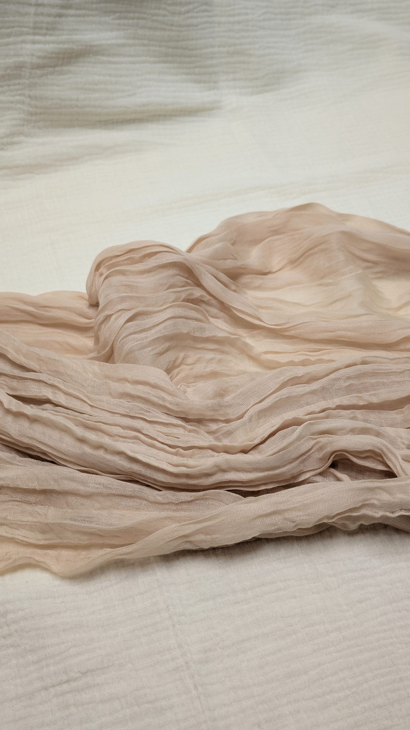 PXL_20250120_191838246~2