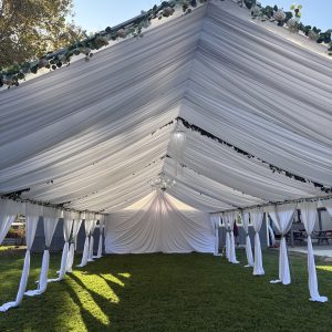Canopy with drapes