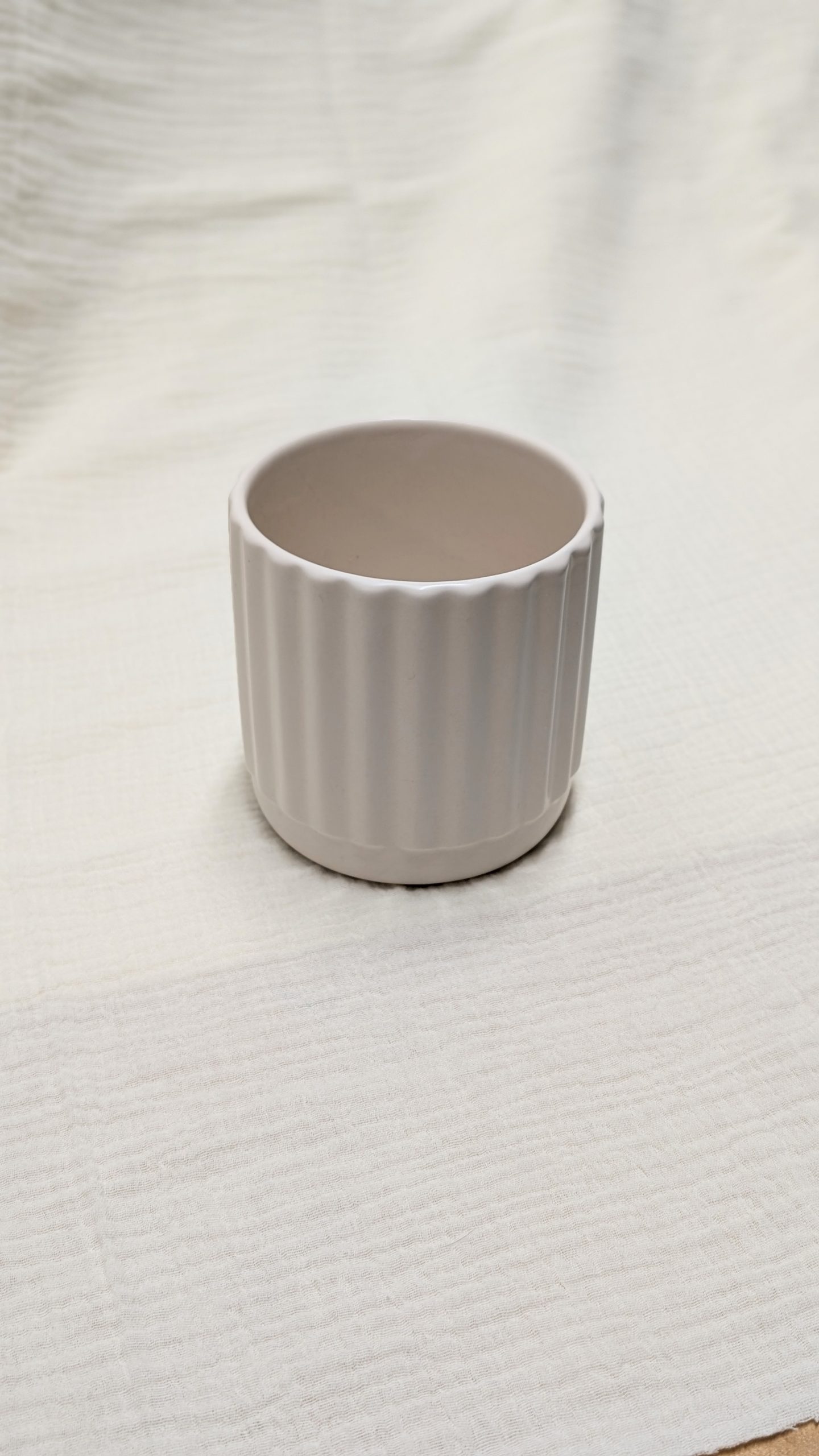 PXL_20250120_185626205.PORTRAIT~2